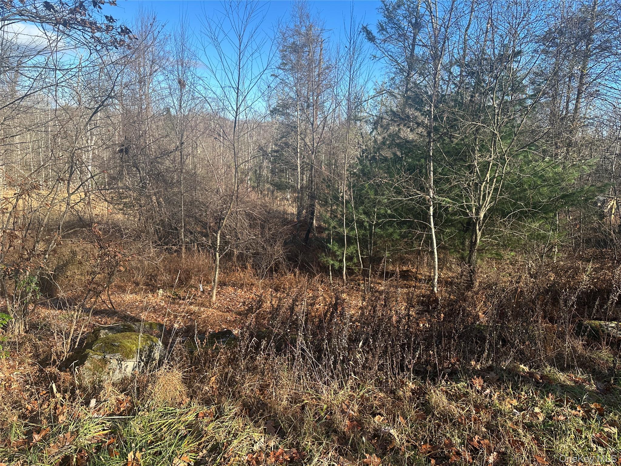 #3 photo, Oak Ridge, Ellenville , NY 12428