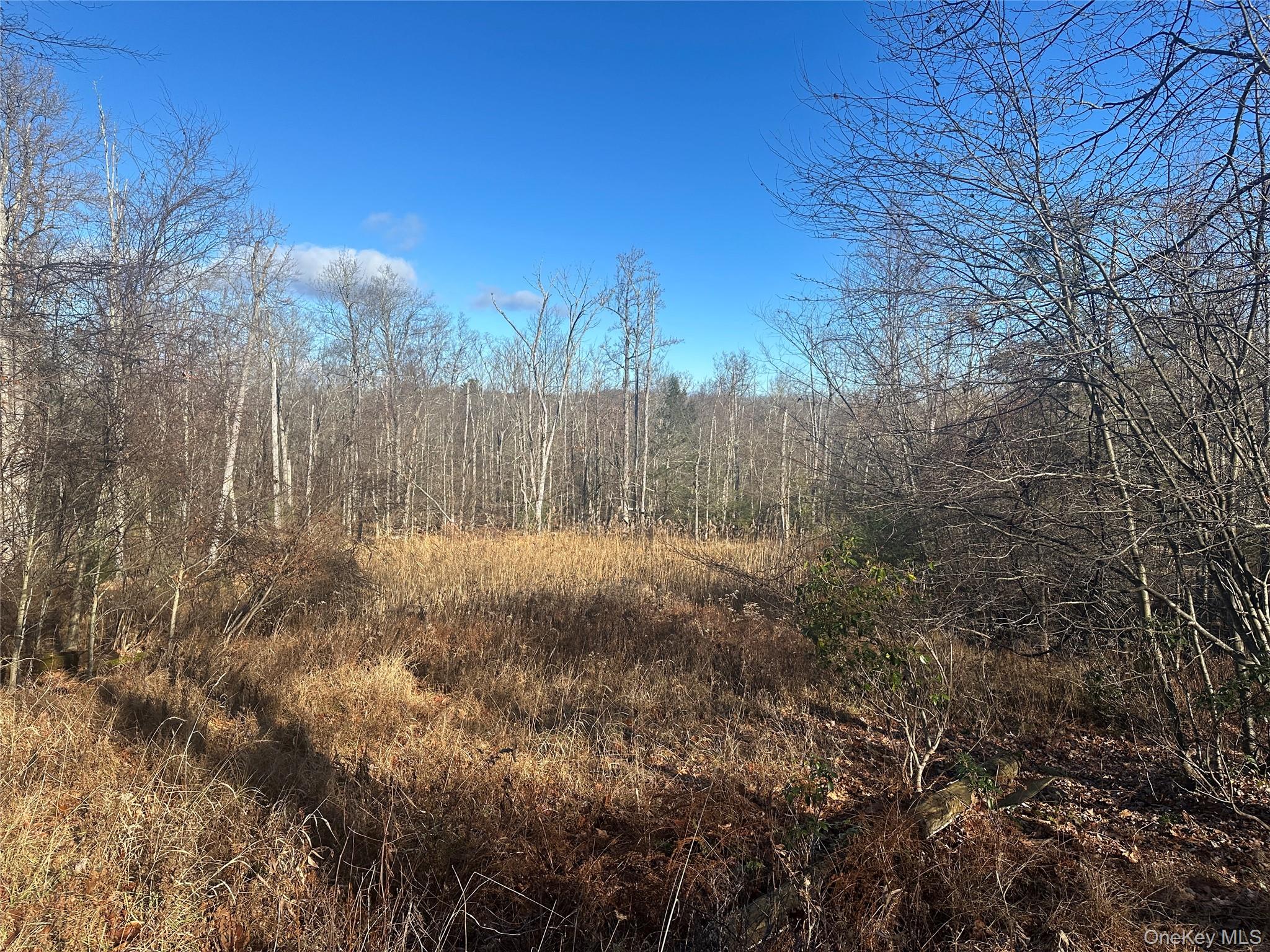 #4 photo, Oak Ridge, Ellenville , NY 12428