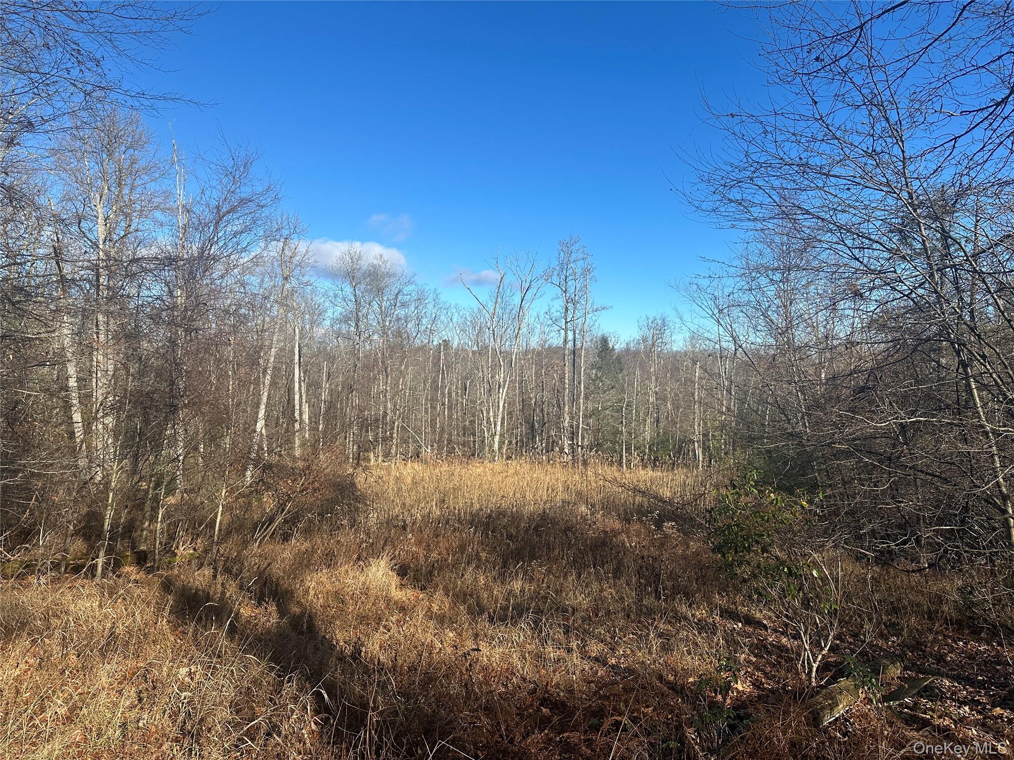 #5 photo, Oak Ridge, Ellenville , NY 12428