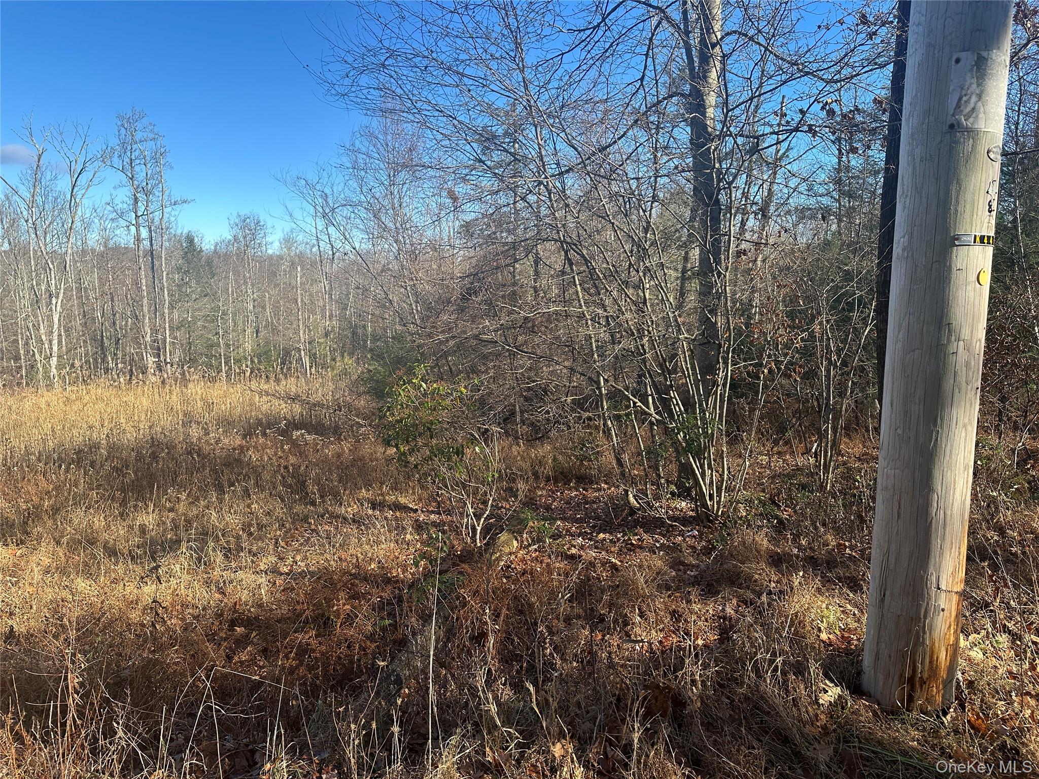 #6 photo, Oak Ridge, Ellenville , NY 12428