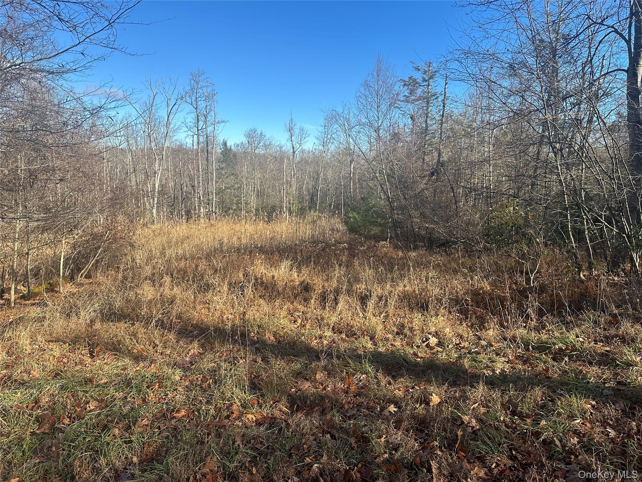 #7 photo, Oak Ridge, Ellenville , NY 12428