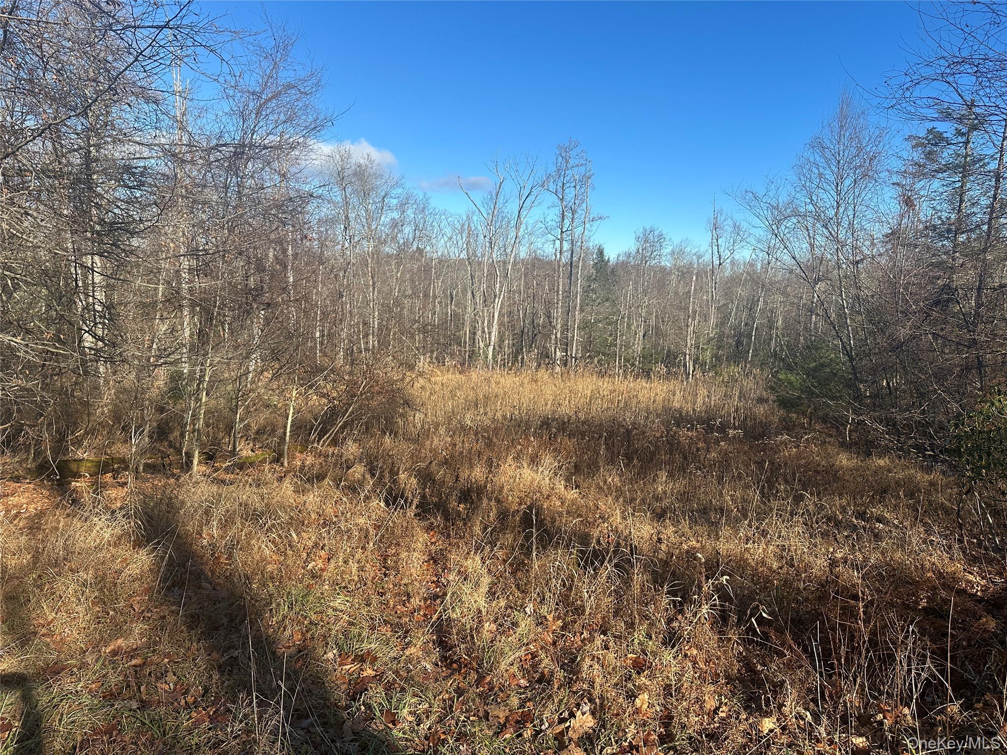 #8 photo, Oak Ridge, Ellenville , NY 12428