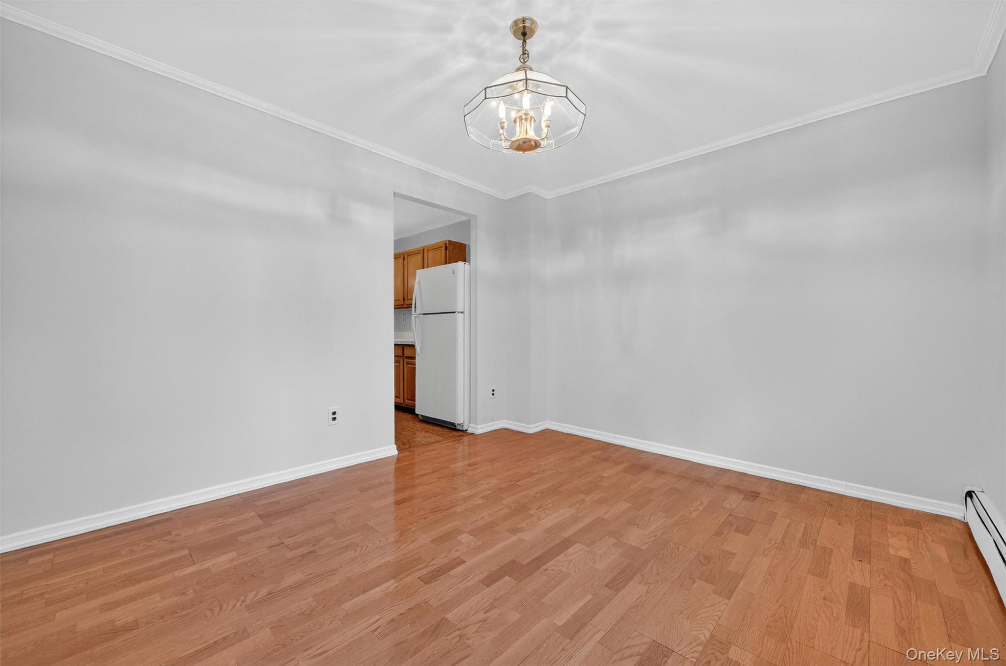 #11 photo, 1042 Fox Street, Bronx , NY 10459