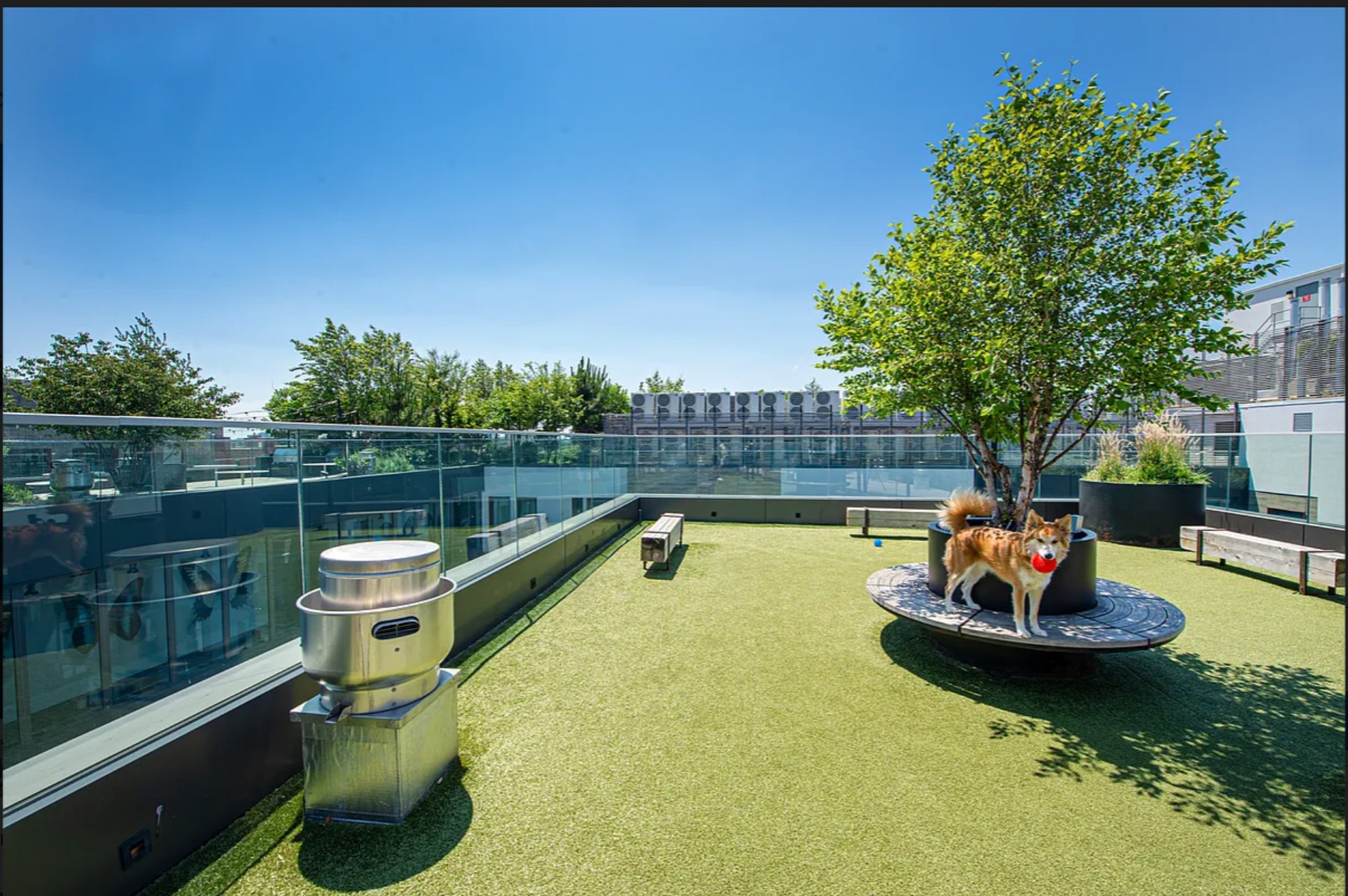 #10 photo, Brooklyn, Bushwick , NY 11206