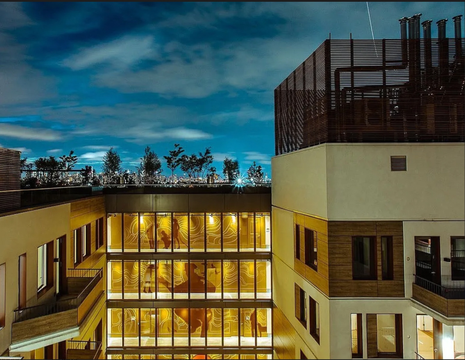 #13 photo, Brooklyn, Bushwick , NY 11206