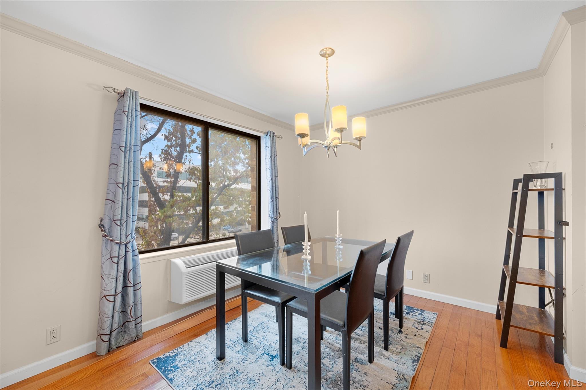 #20 photo, 141 Great Neck Road, Great Neck , NY 11021