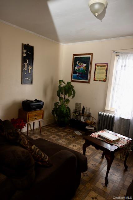 #9 photo, 19 Frederick Avenue, Elmont , NY 11003