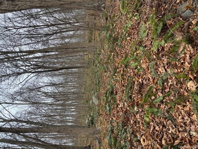 #4 photo, 82 Wiccopee Road, Putnam Valley , NY 10579