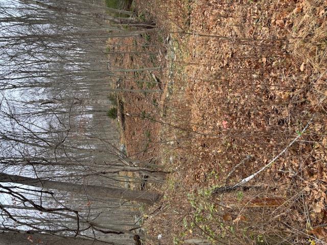 #5 photo, 82 Wiccopee Road, Putnam Valley , NY 10579