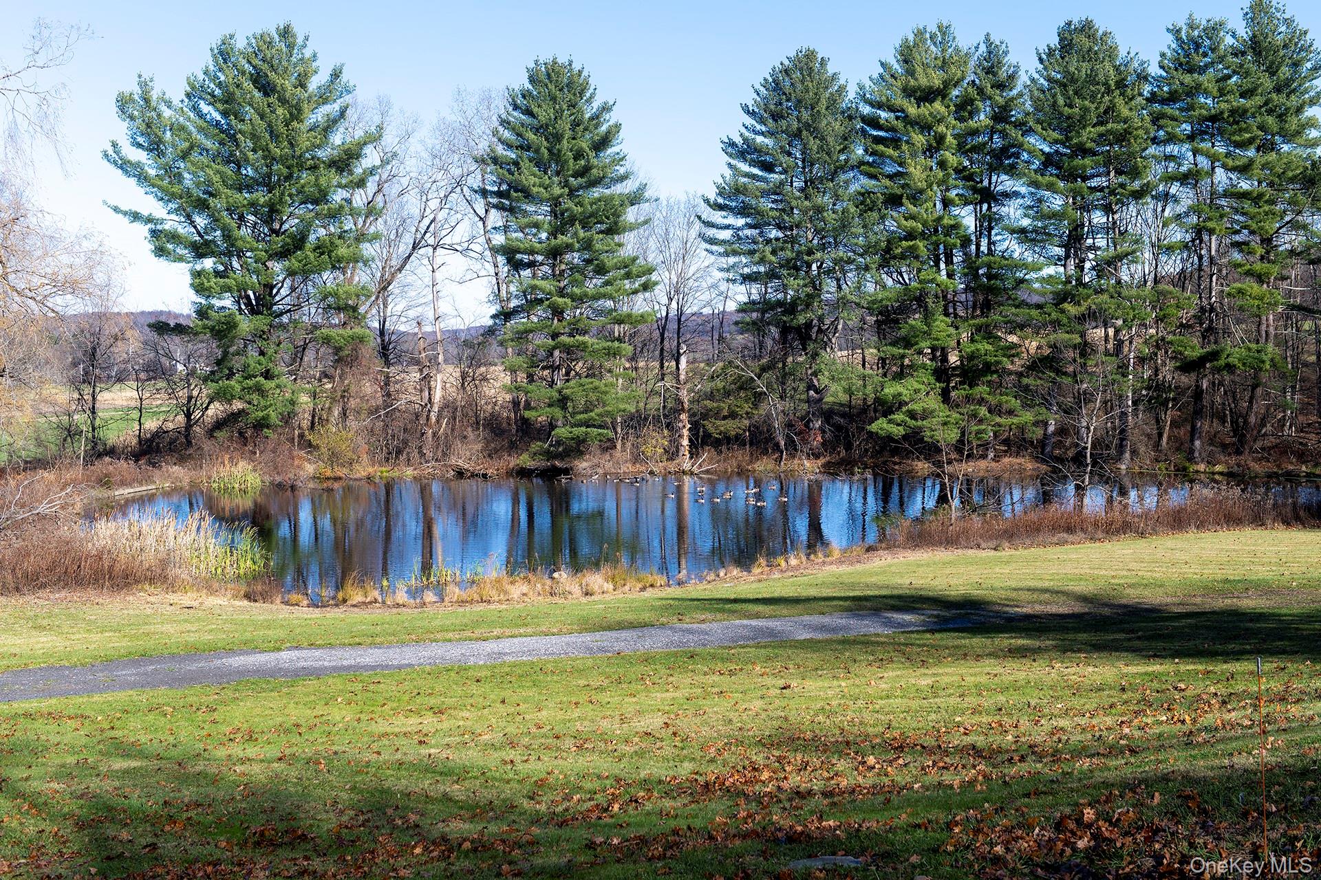 #4 photo, 58 On The Green, Verbank , NY 12585