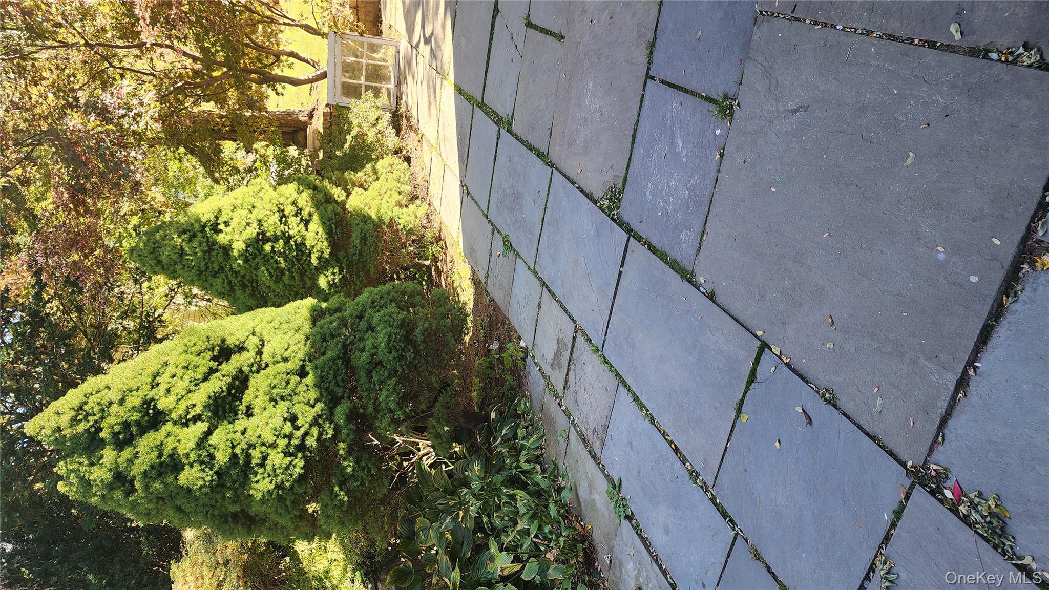 #14 photo, 22 Beach Street, White Plains , NY 10604