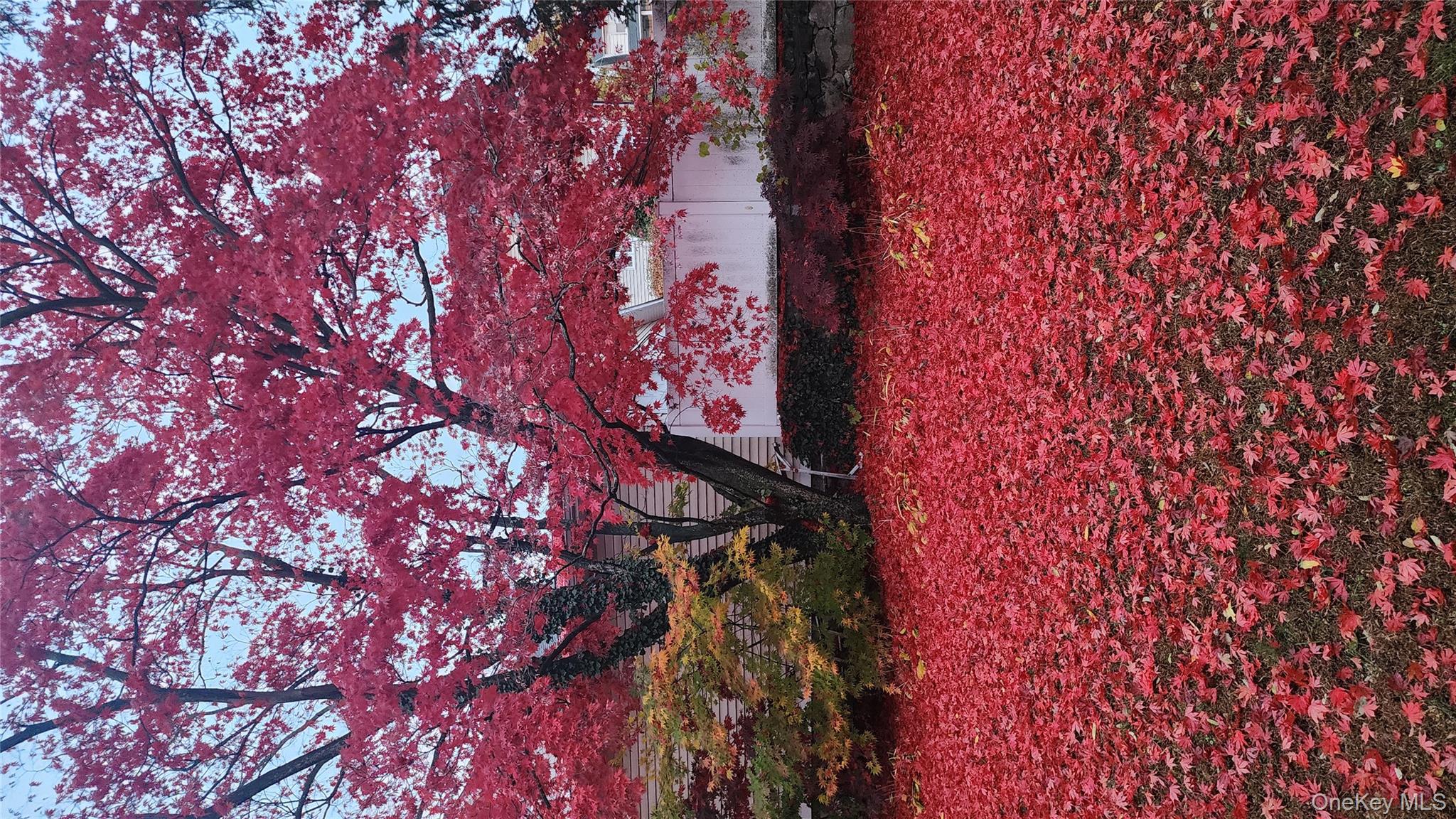 #16 photo, 22 Beach Street, White Plains , NY 10604