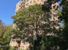 735 Kappock Street #2-F 布朗士 Spuyten Duyvil, NY
