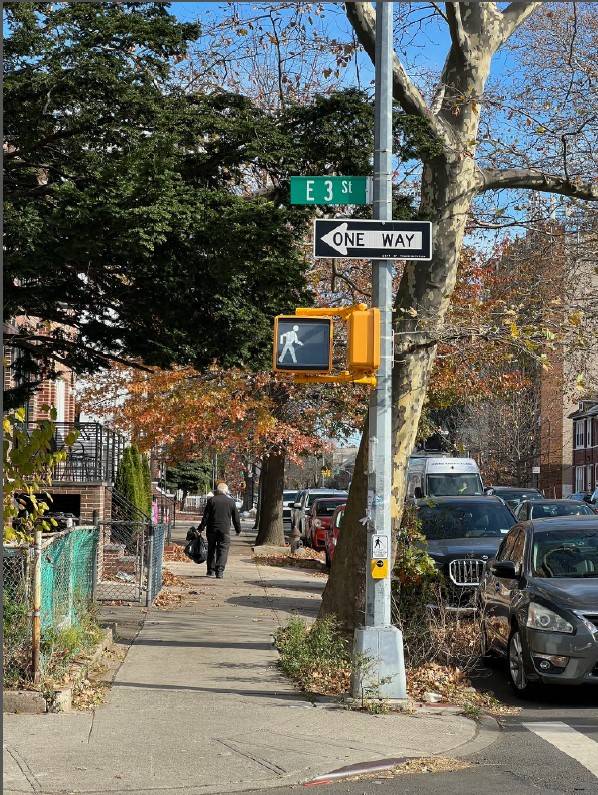 #25 photo, 1463 East 3rd Street, Midwood , NY 11230