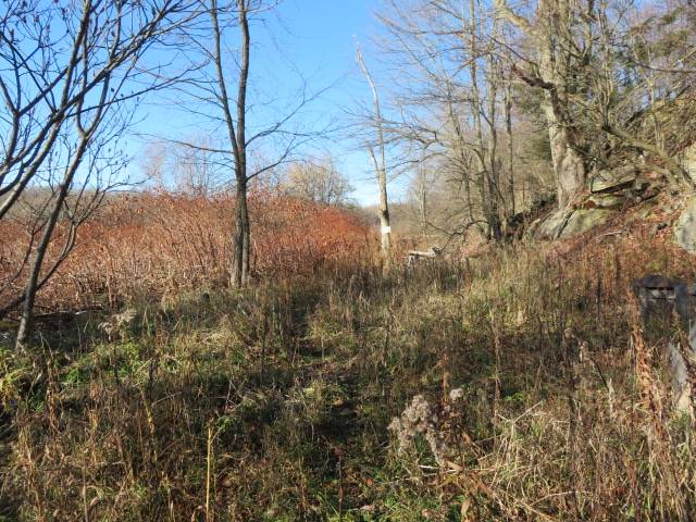 #2 photo, 30269 Co Rte 22, Theresa , NY 13691