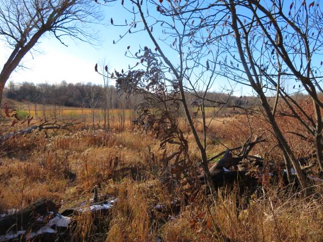 #3 photo, 30269 Co Rte 22, Theresa , NY 13691