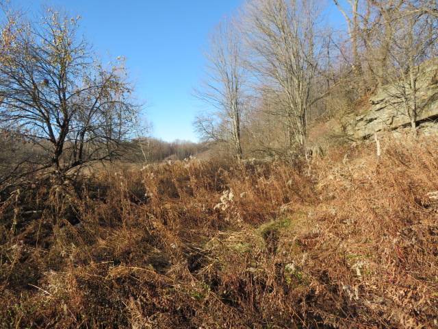 #4 photo, 30269 Co Rte 22, Theresa , NY 13691