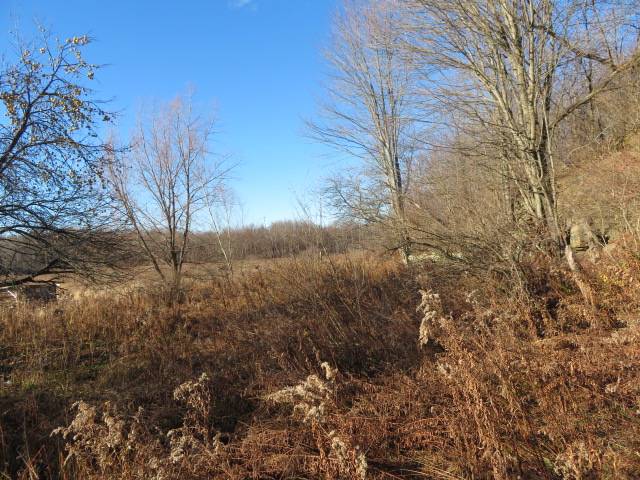 #6 photo, 30269 Co Rte 22, Theresa , NY 13691