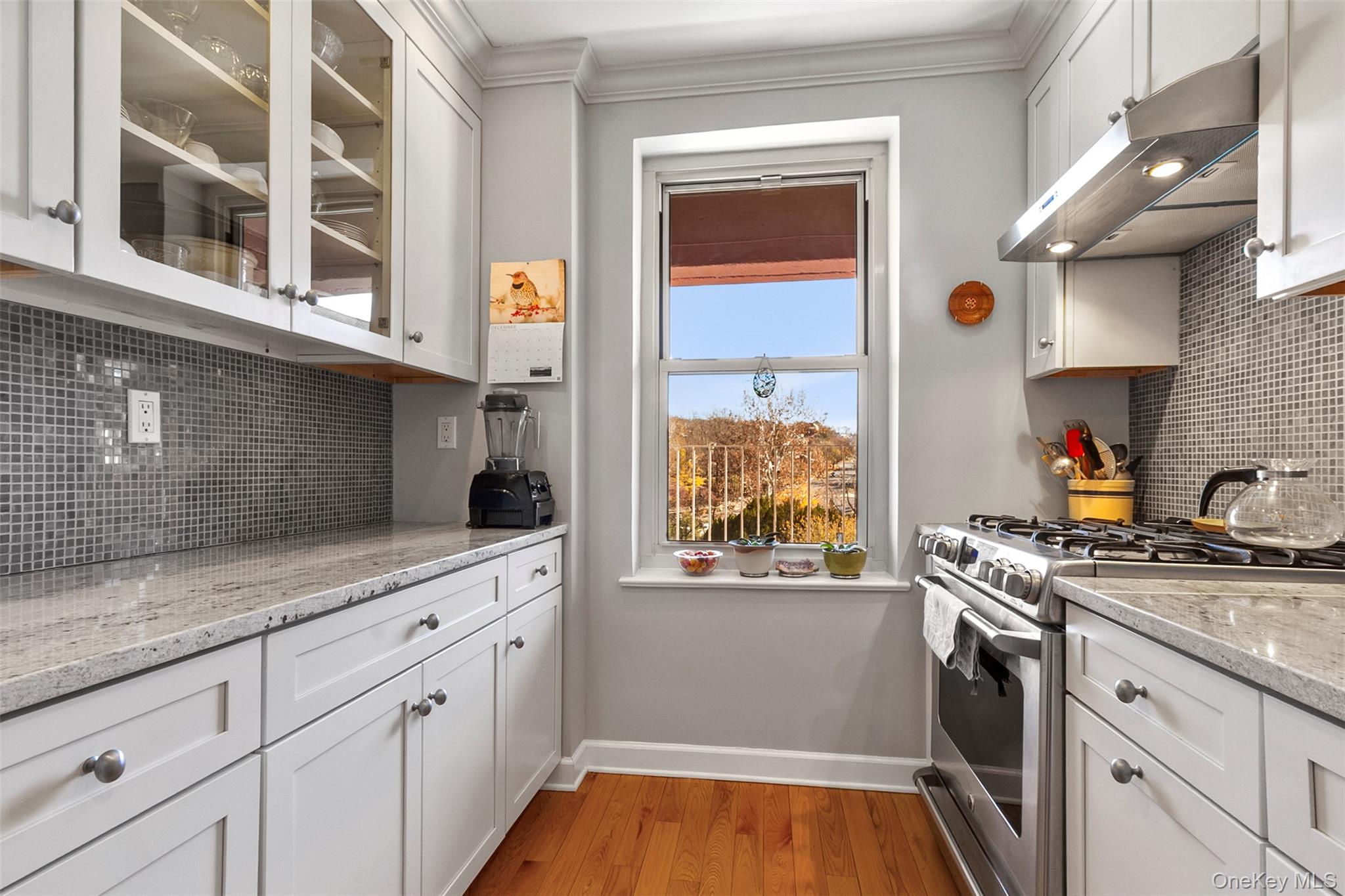 #11 photo, 565 Broadway, Hastings-on-Hudson , NY 10706