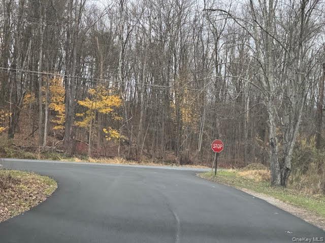 #5 photo, 138 Round Hill Road, Walden , NY 12586