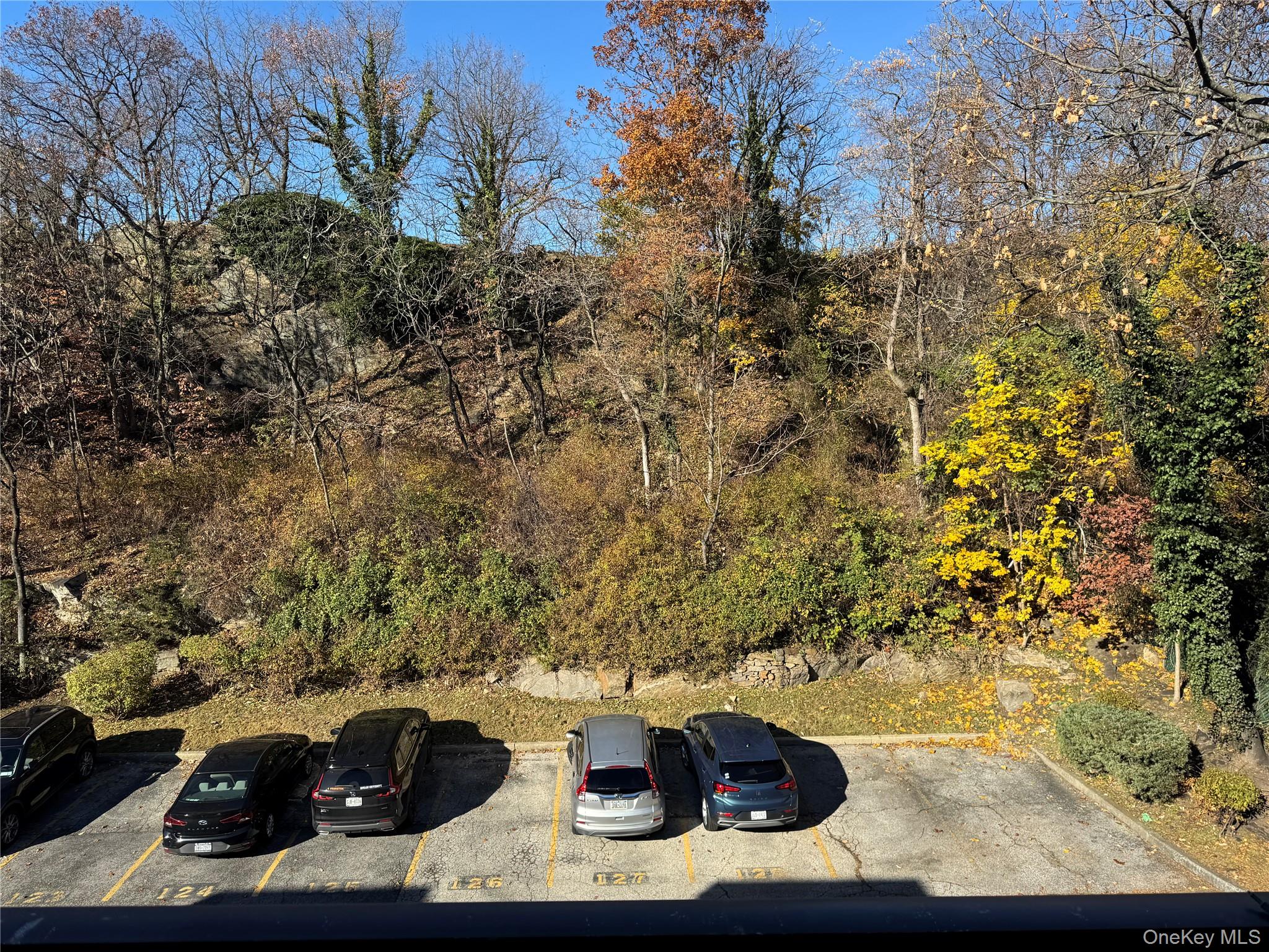 #19 photo, 1101 Midland Avenue, Bronxville , NY 10708