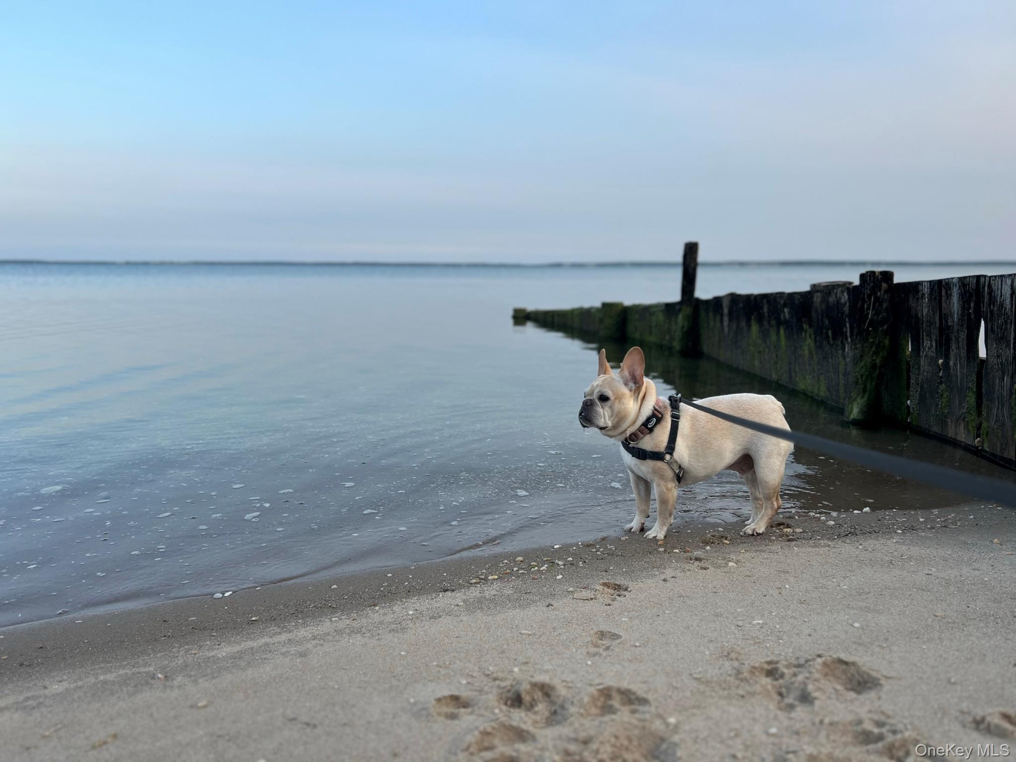 #3 photo, 105 Krause Road, Mattituck , NY 11952