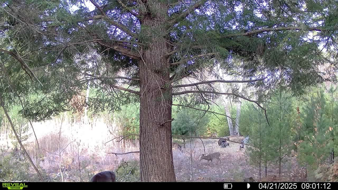 #29 photo, 1532A South Shore Rd, 纽约州 Edinburg , NY 12835