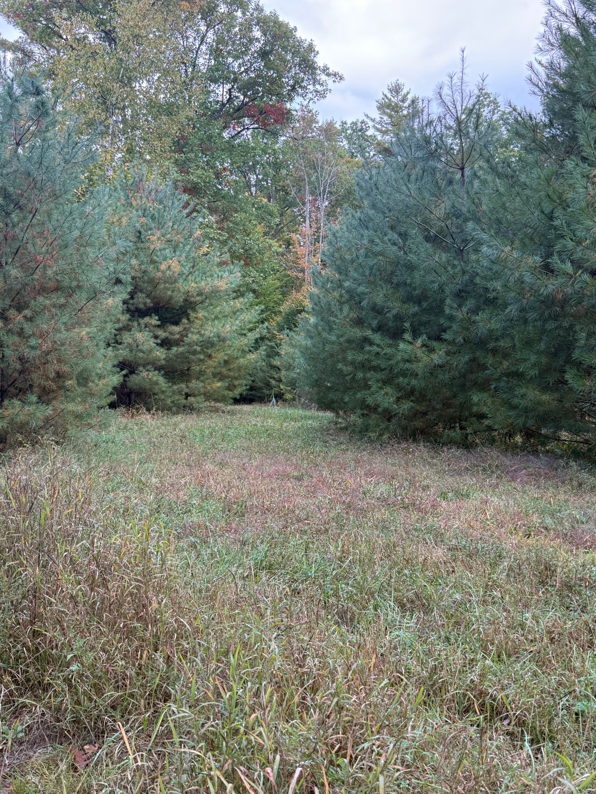 #31 photo, 1532A South Shore Rd, 纽约州 Edinburg , NY 12835