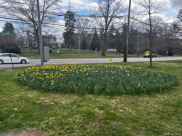 #16 photo, 55 N Broadway, White Plains , NY 10601