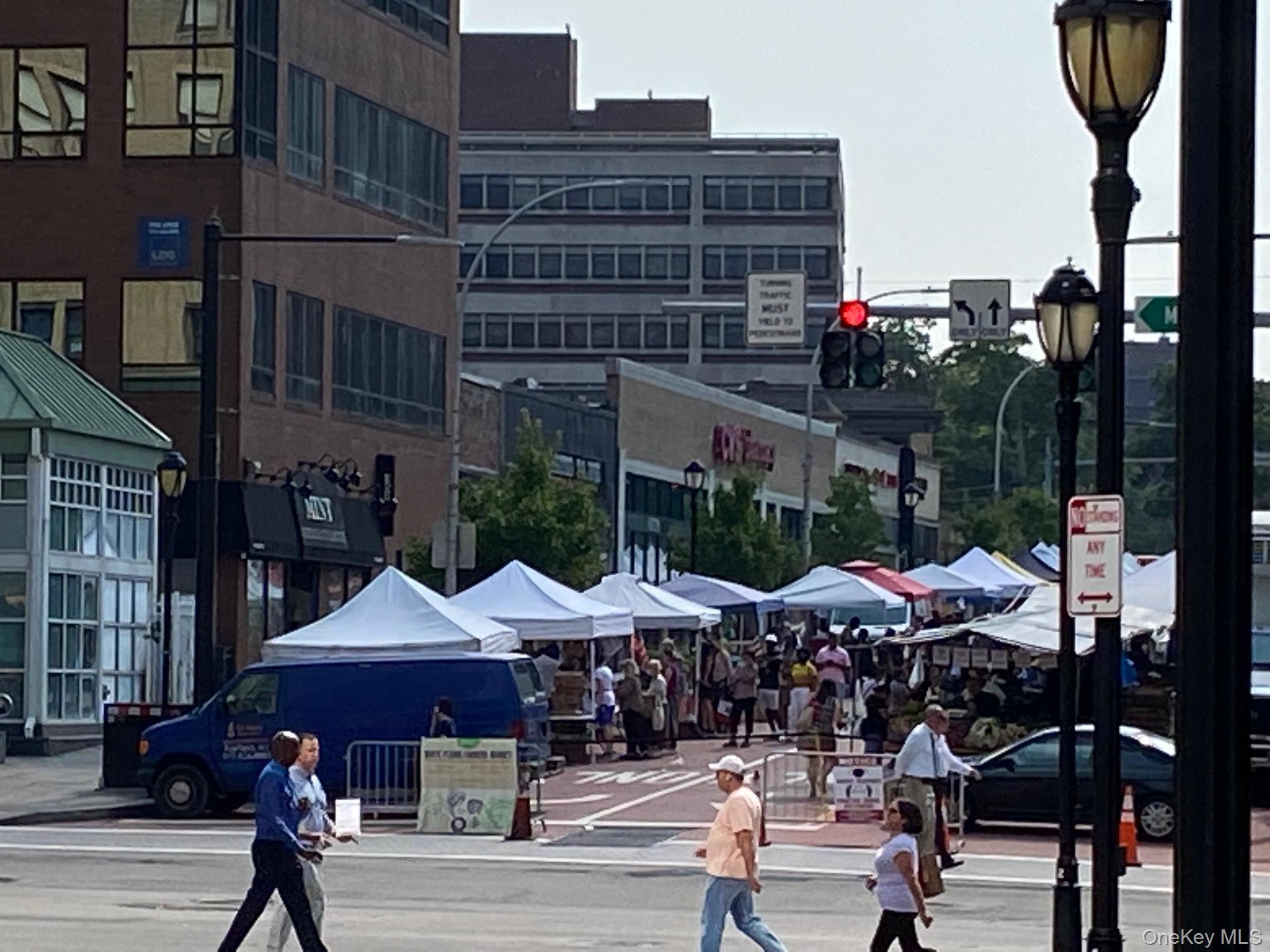 #19 photo, 55 N Broadway, White Plains , NY 10601