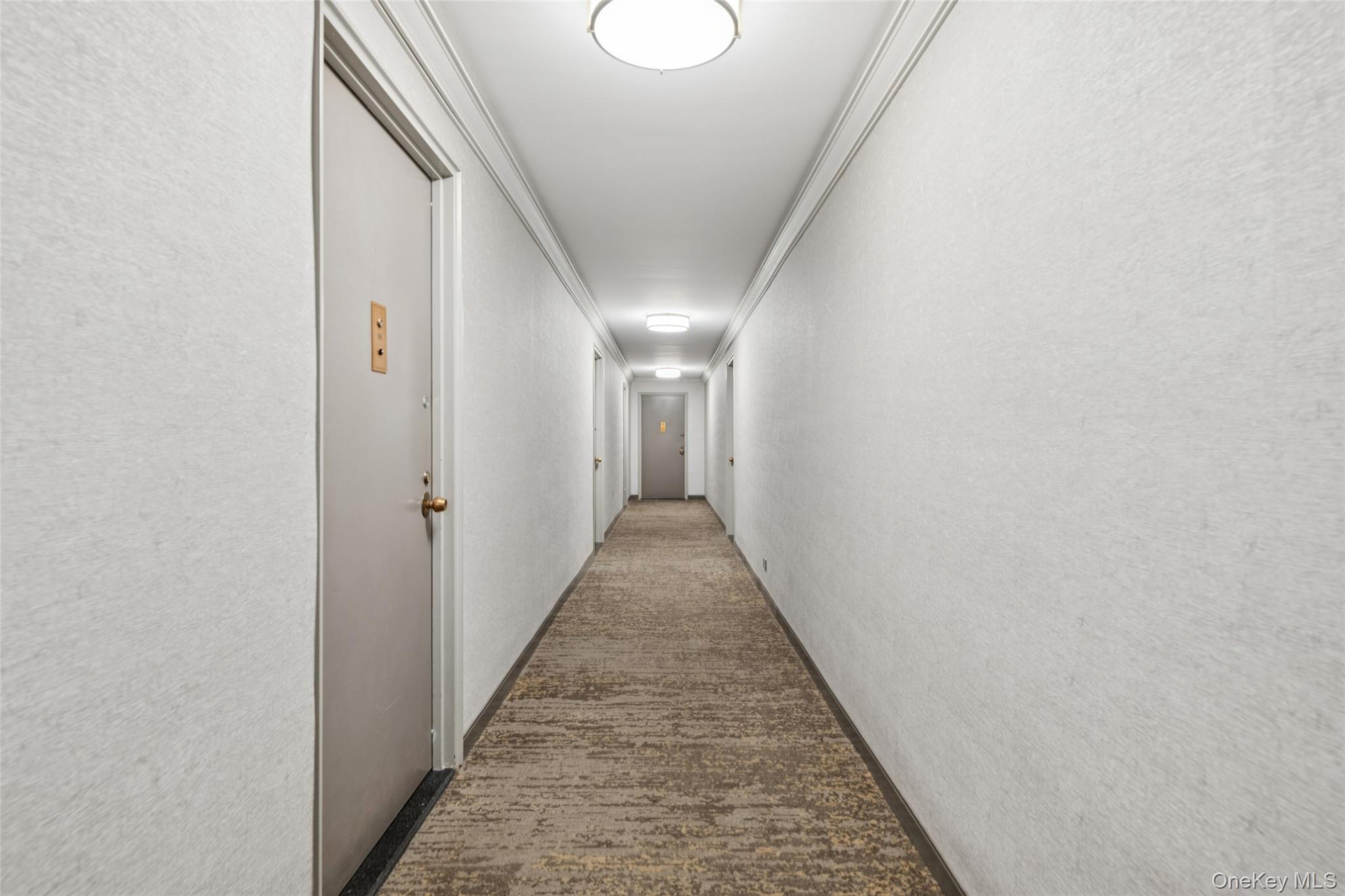 #11 photo, 111-20 73rd Avenue, Forest Hills , NY 11375