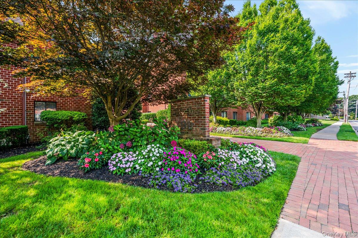 #19 photo, 99 S Park Avenue, 长岛 Rockville Centre , NY 11570