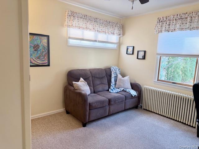 #14 photo, 286 Pacific Street, מחוז נסאו Massapequa Park , NY 11762