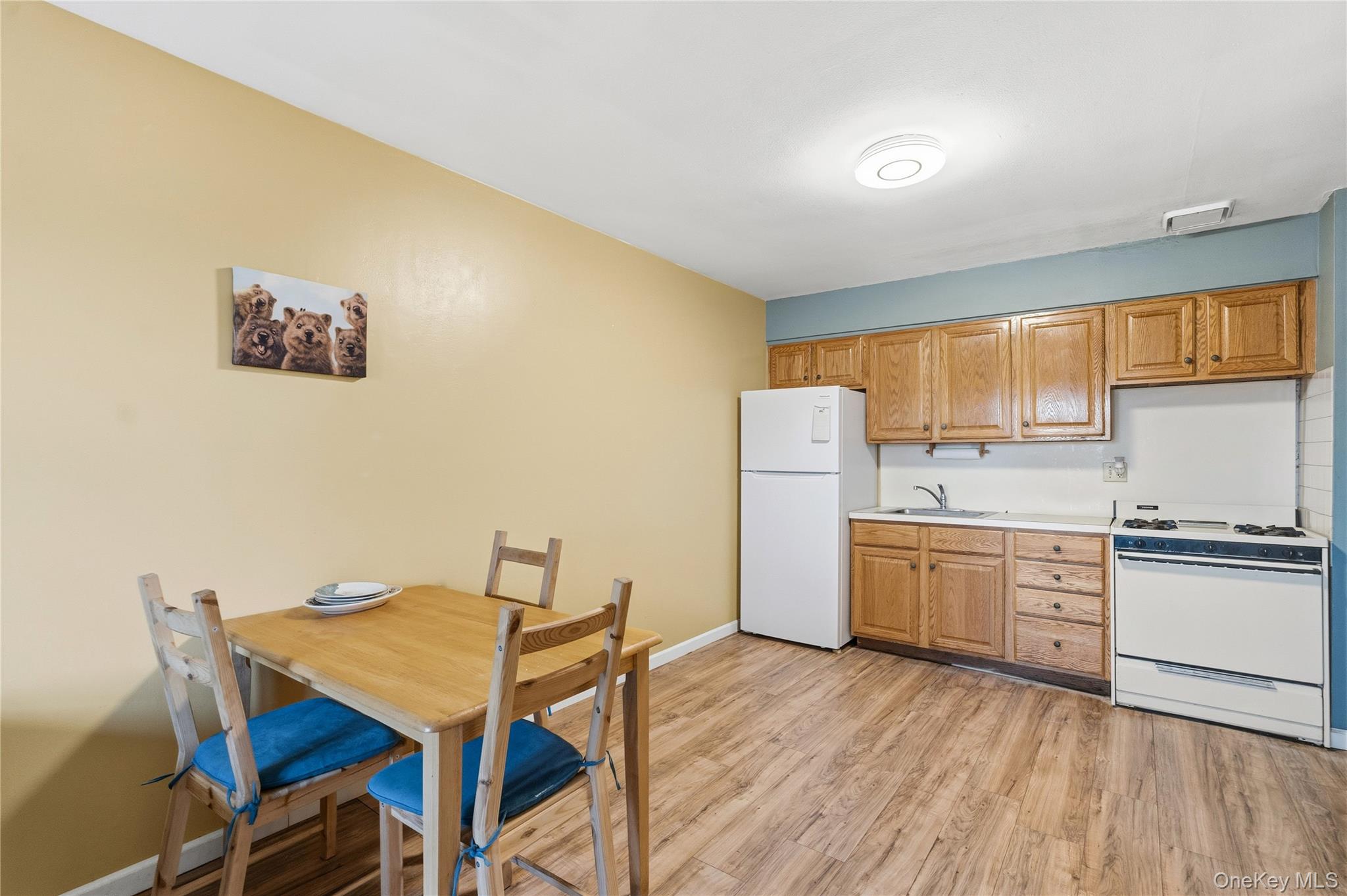 #7 photo, 13716 88th Street, Ozone Park , NY 11417