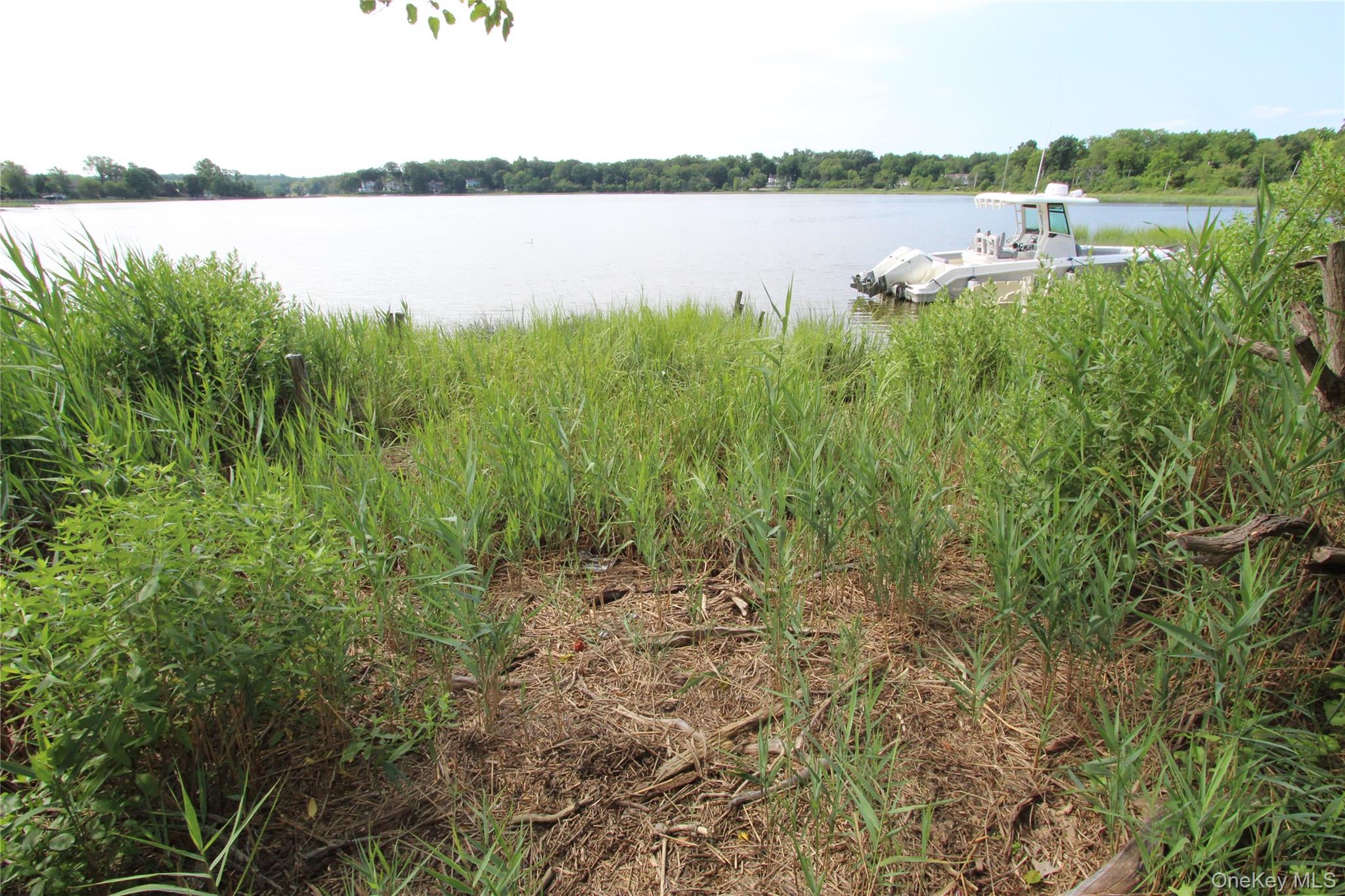 #17 photo, 59 Dyke Road, 东长岛 East Setauket , NY 11733