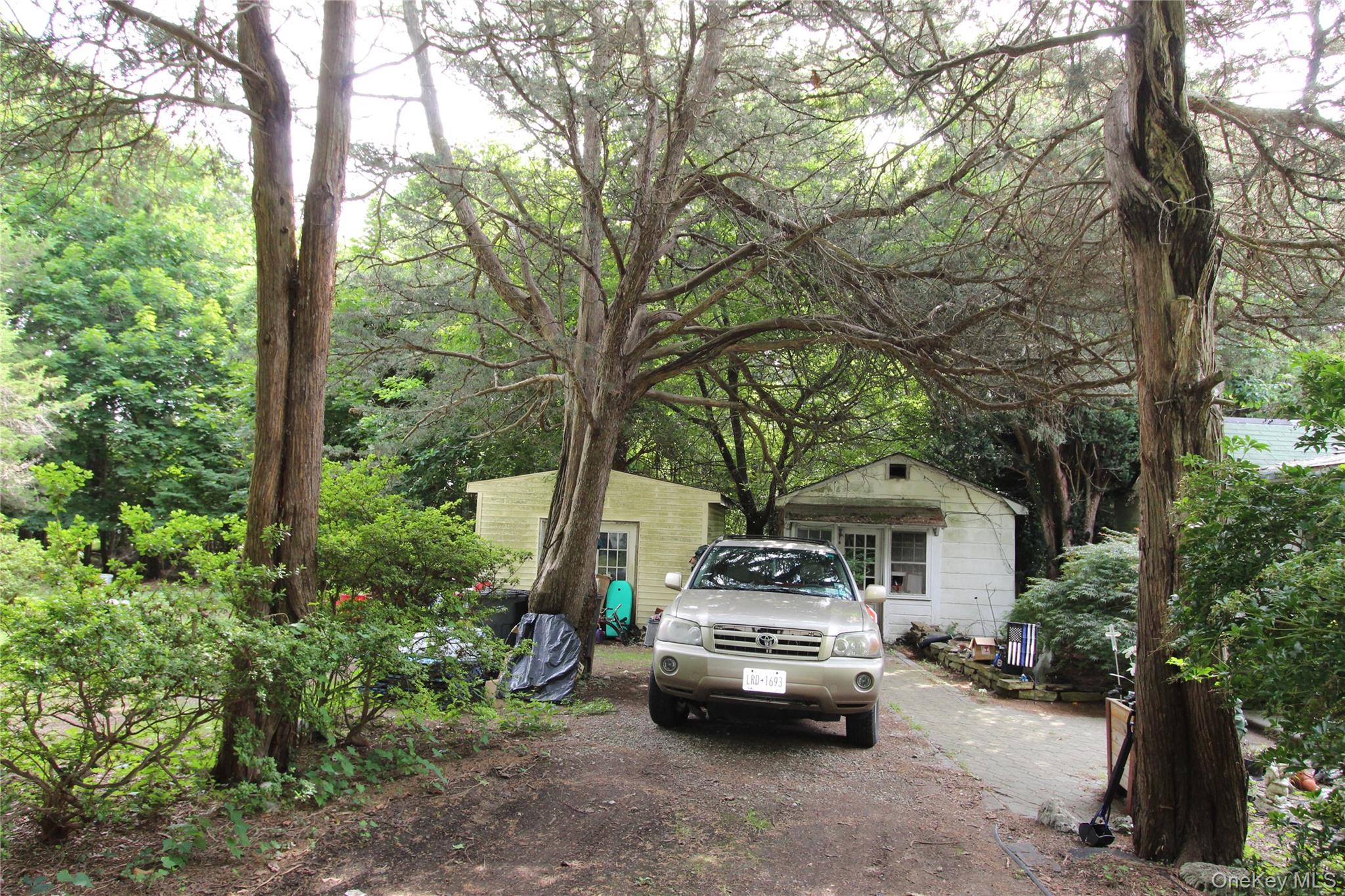 #3 photo, 59 Dyke Road, 东长岛 East Setauket , NY 11733