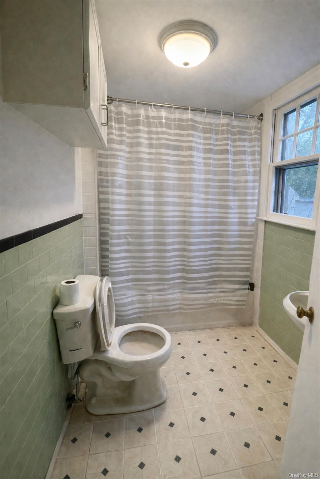 #5 photo, 27 Middle Line Avenue, Medford , NY 11763