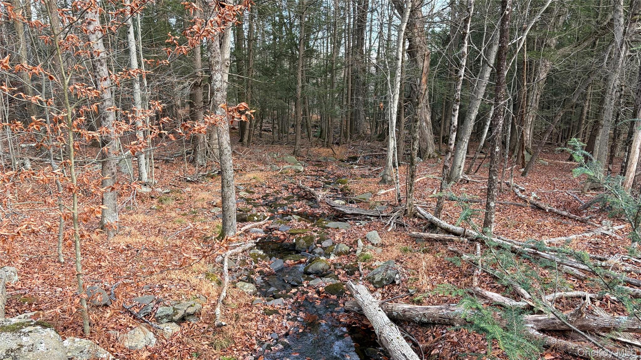 #1 photo, X Aldrich Road, Wurtsboro , NY 12790