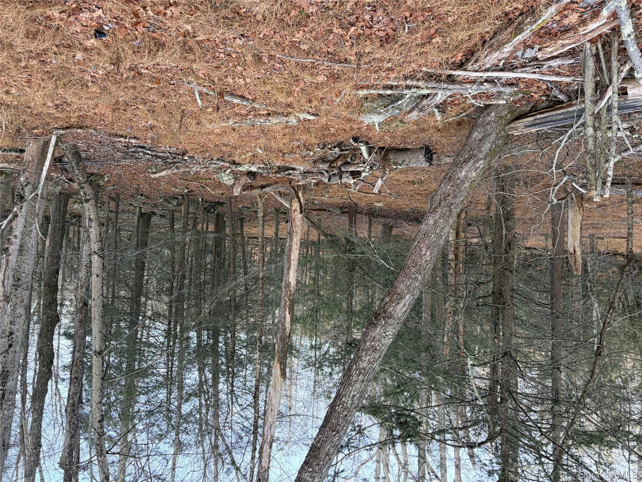 #10 photo, X Aldrich Road, Wurtsboro , NY 12790