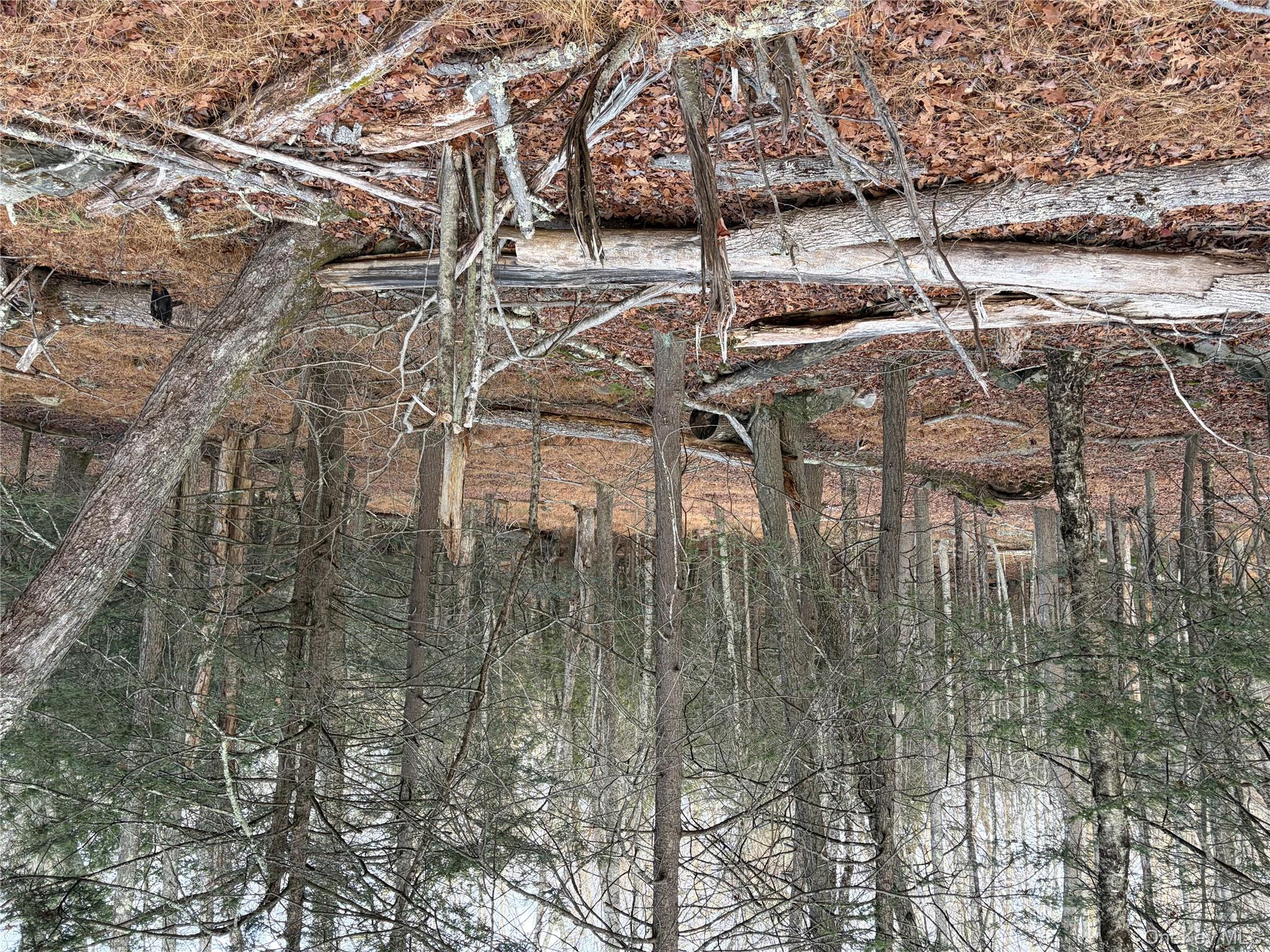 #11 photo, X Aldrich Road, Wurtsboro , NY 12790