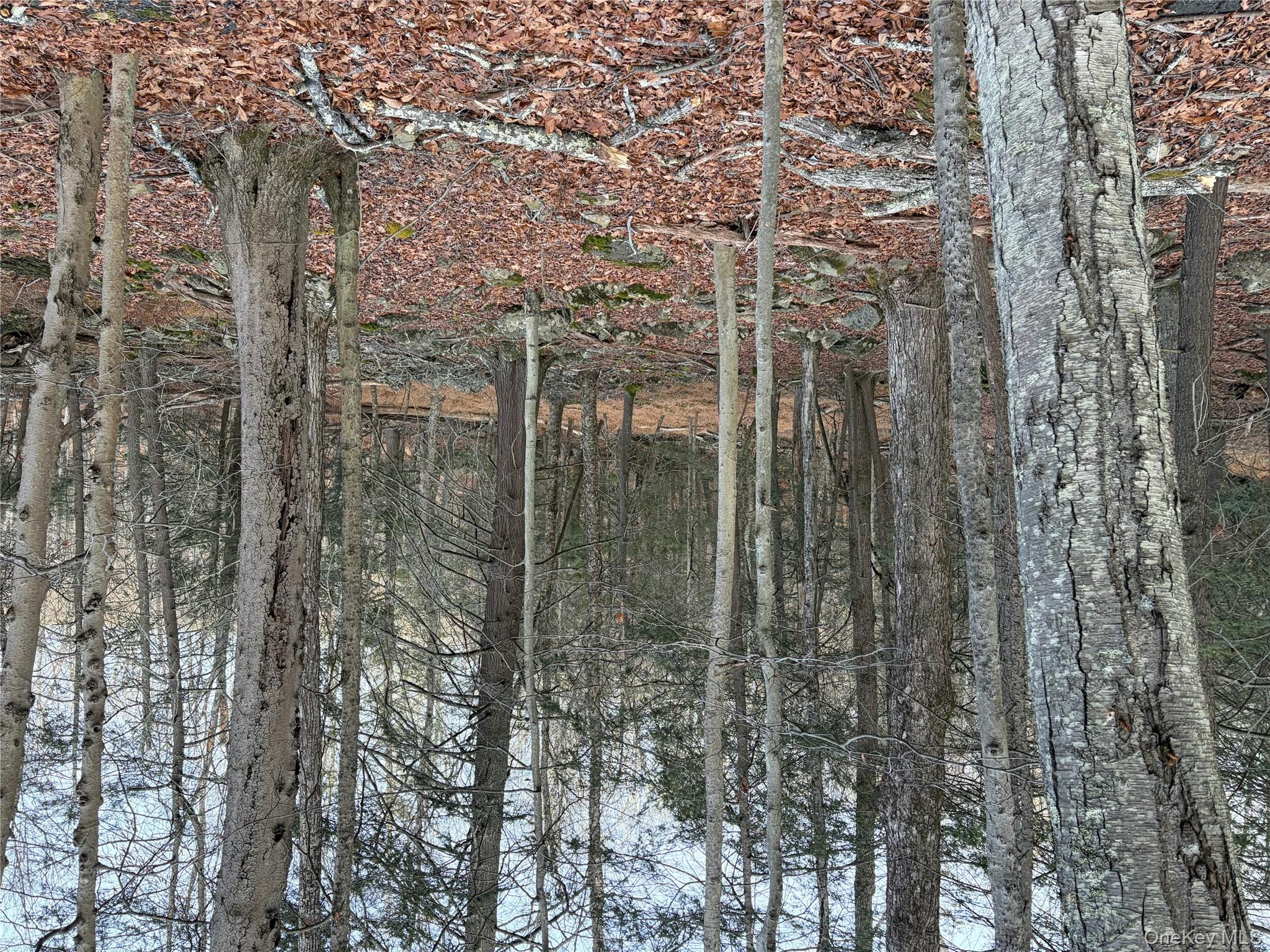 #12 photo, X Aldrich Road, Wurtsboro , NY 12790