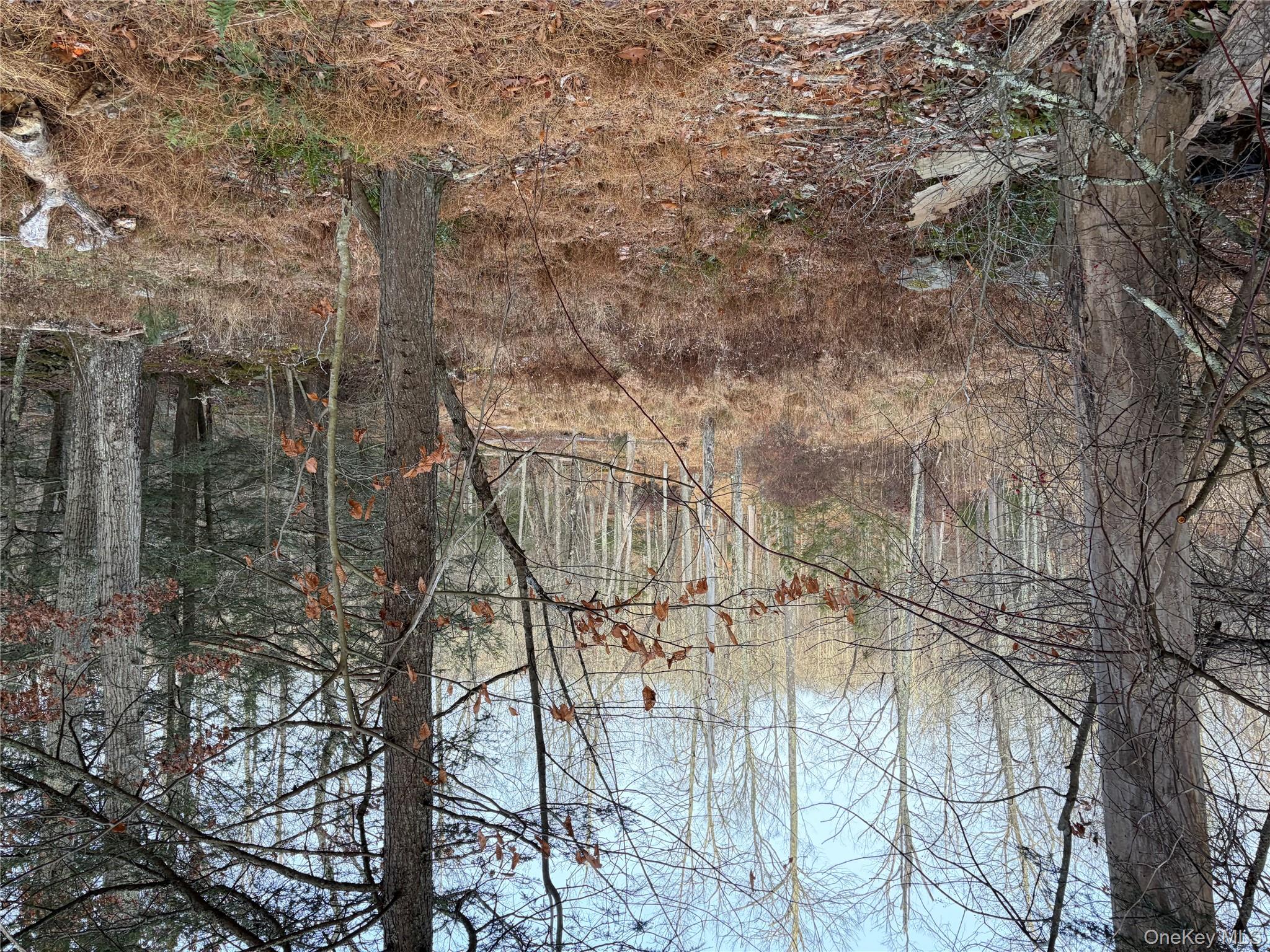 #15 photo, X Aldrich Road, Wurtsboro , NY 12790