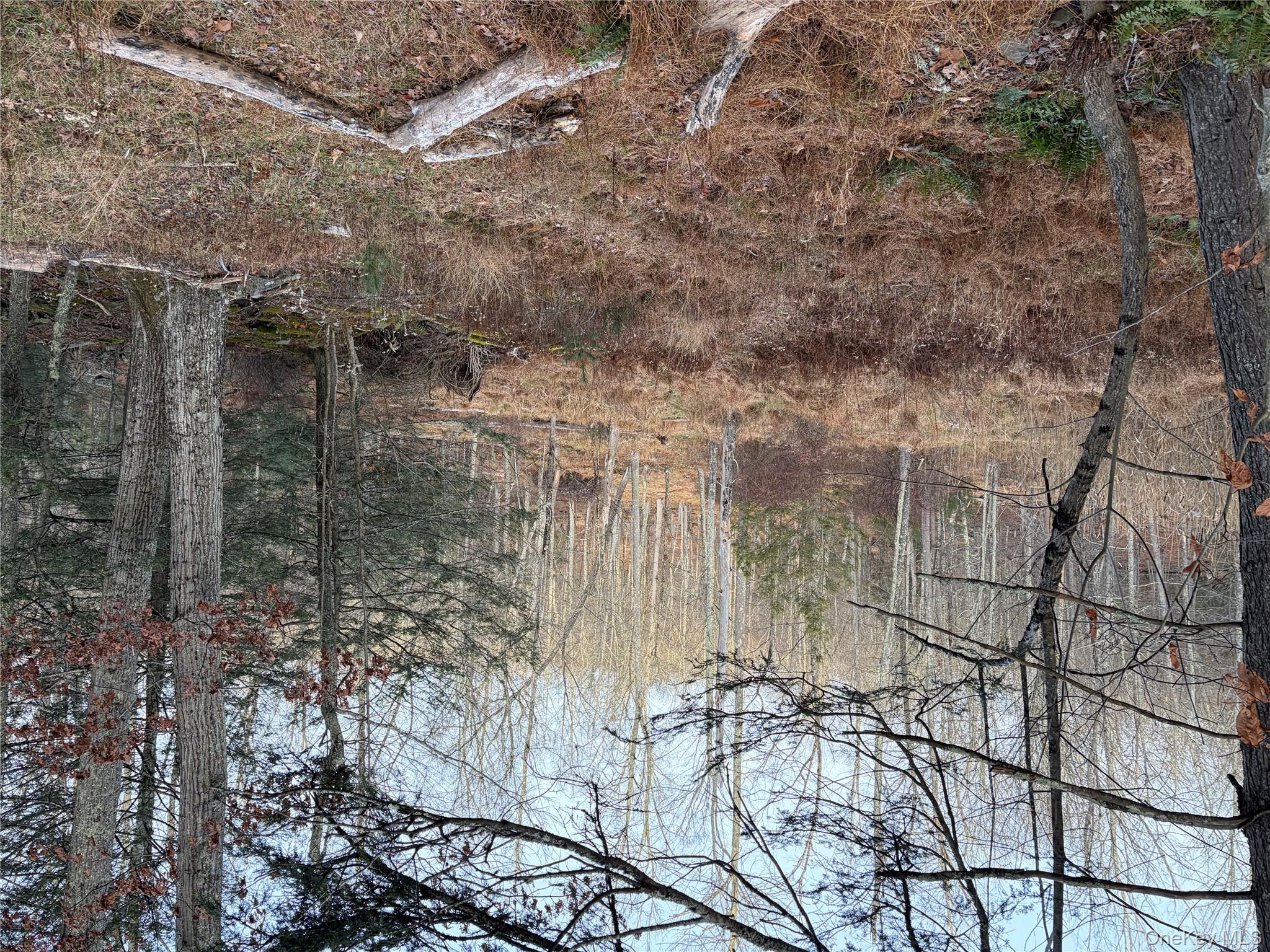 #16 photo, X Aldrich Road, Wurtsboro , NY 12790