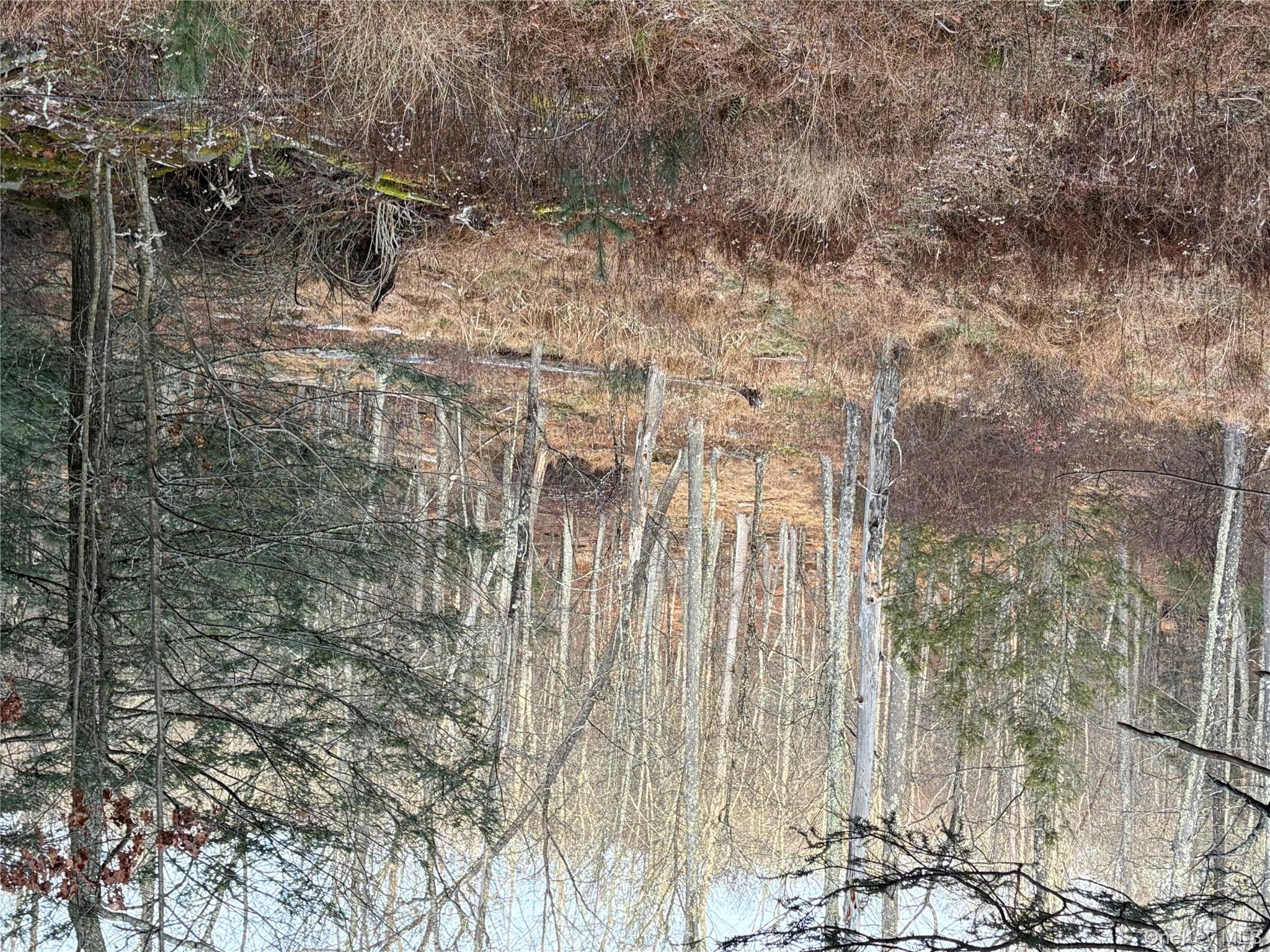 #17 photo, X Aldrich Road, Wurtsboro , NY 12790