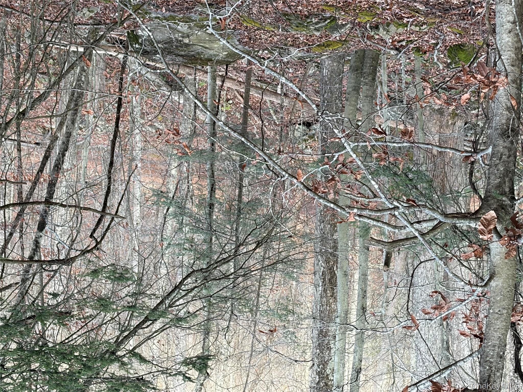 #18 photo, X Aldrich Road, Wurtsboro , NY 12790