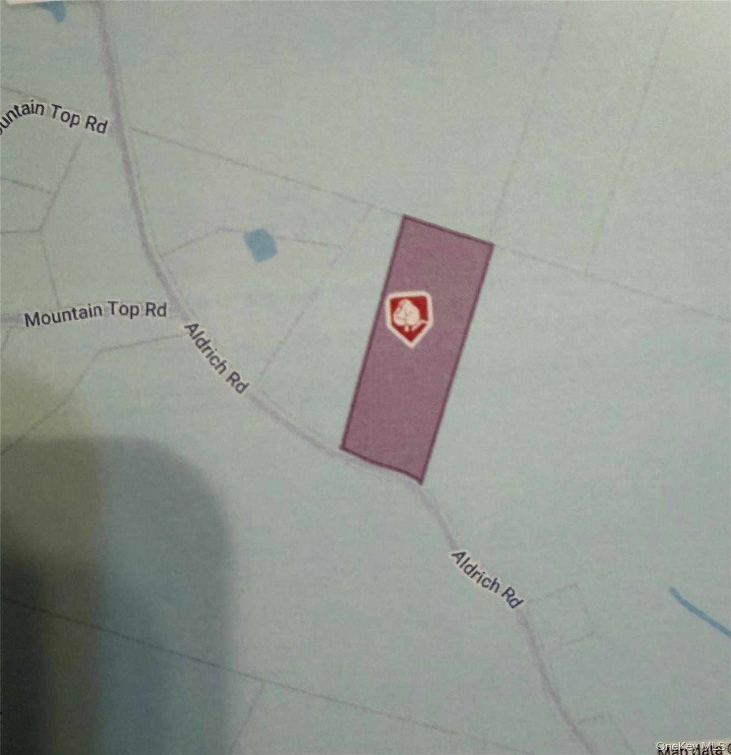 #2 photo, X Aldrich Road, Wurtsboro , NY 12790