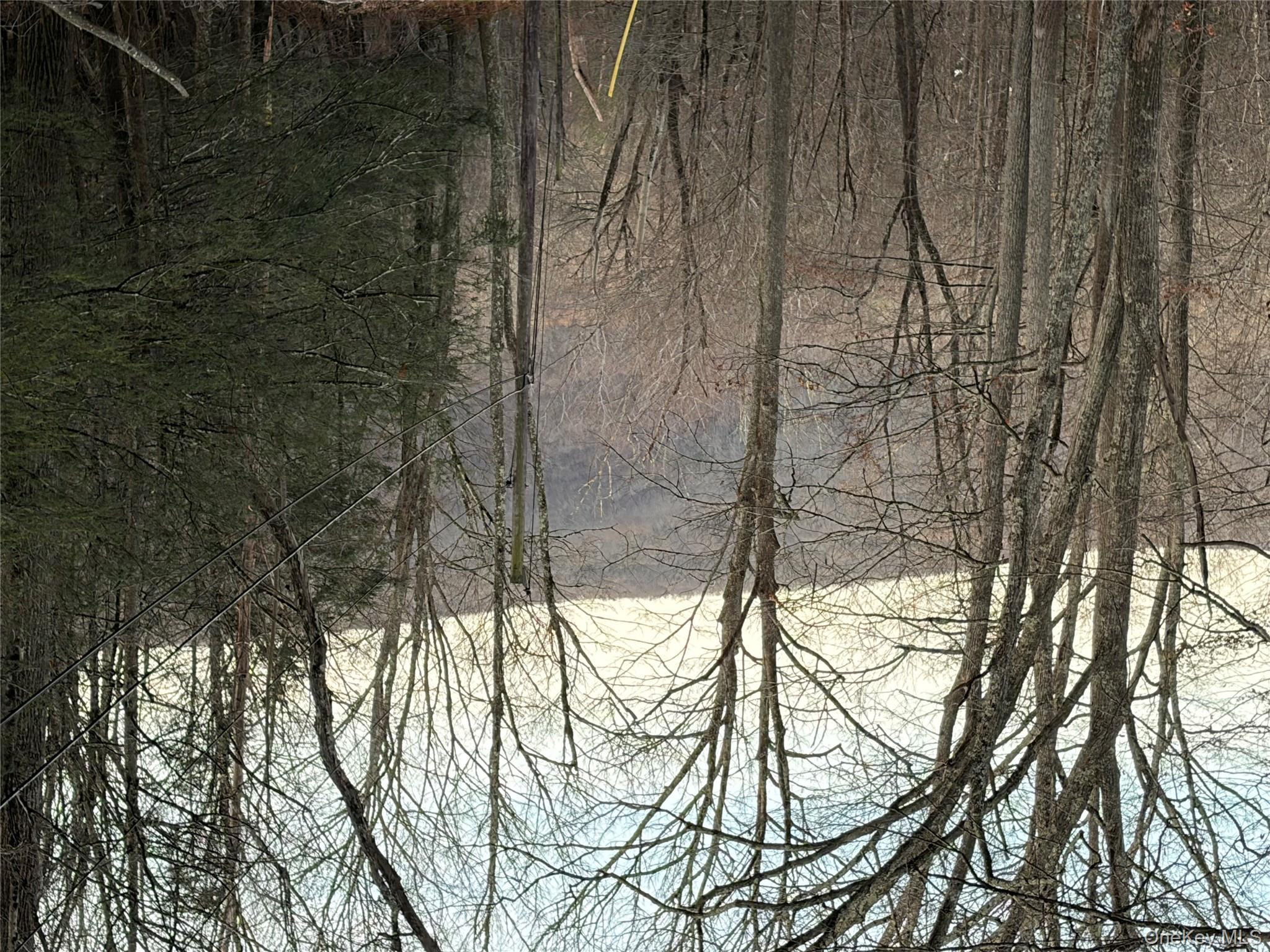 #20 photo, X Aldrich Road, Wurtsboro , NY 12790