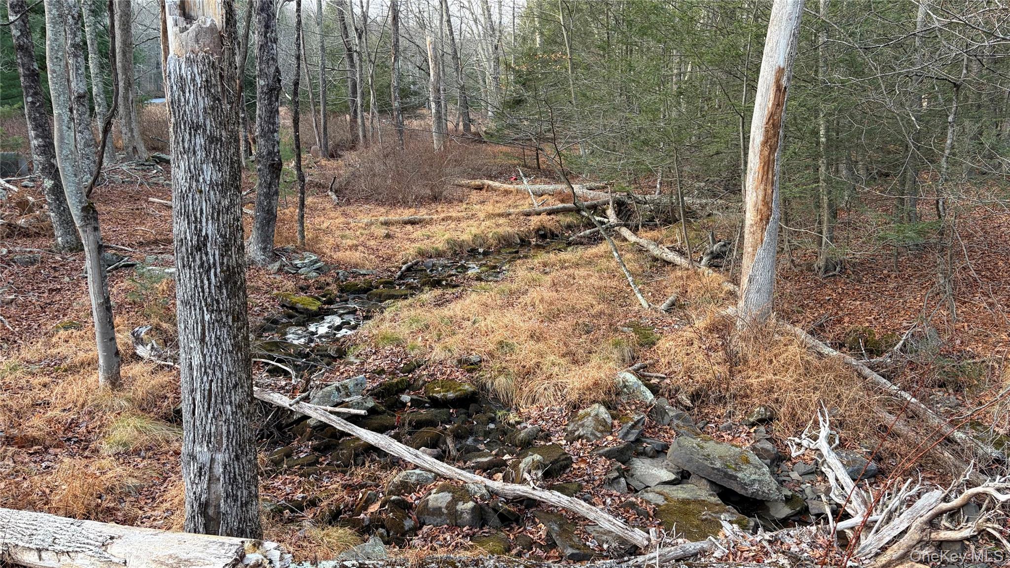 #3 photo, X Aldrich Road, Wurtsboro , NY 12790