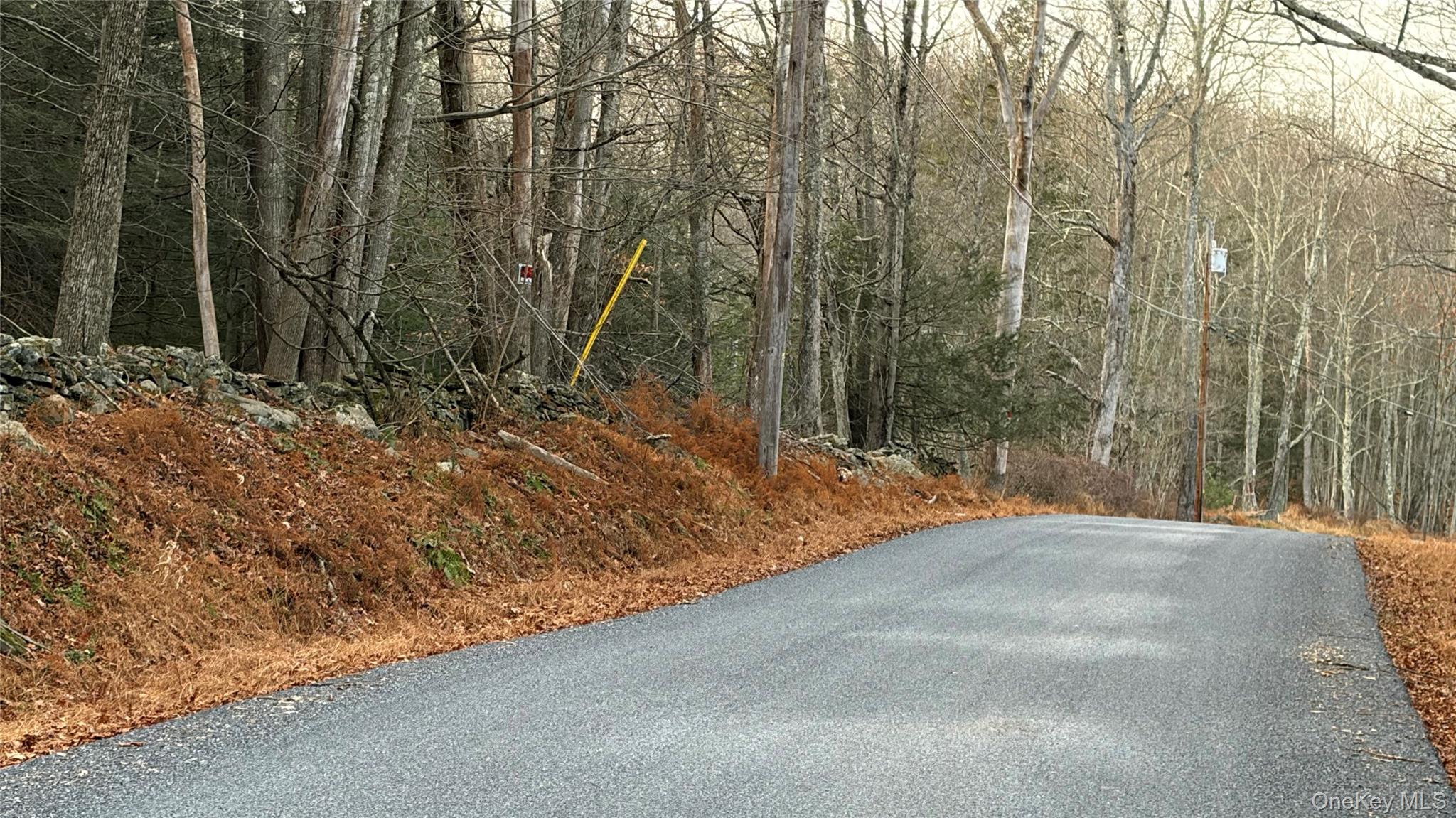 #4 photo, X Aldrich Road, Wurtsboro , NY 12790