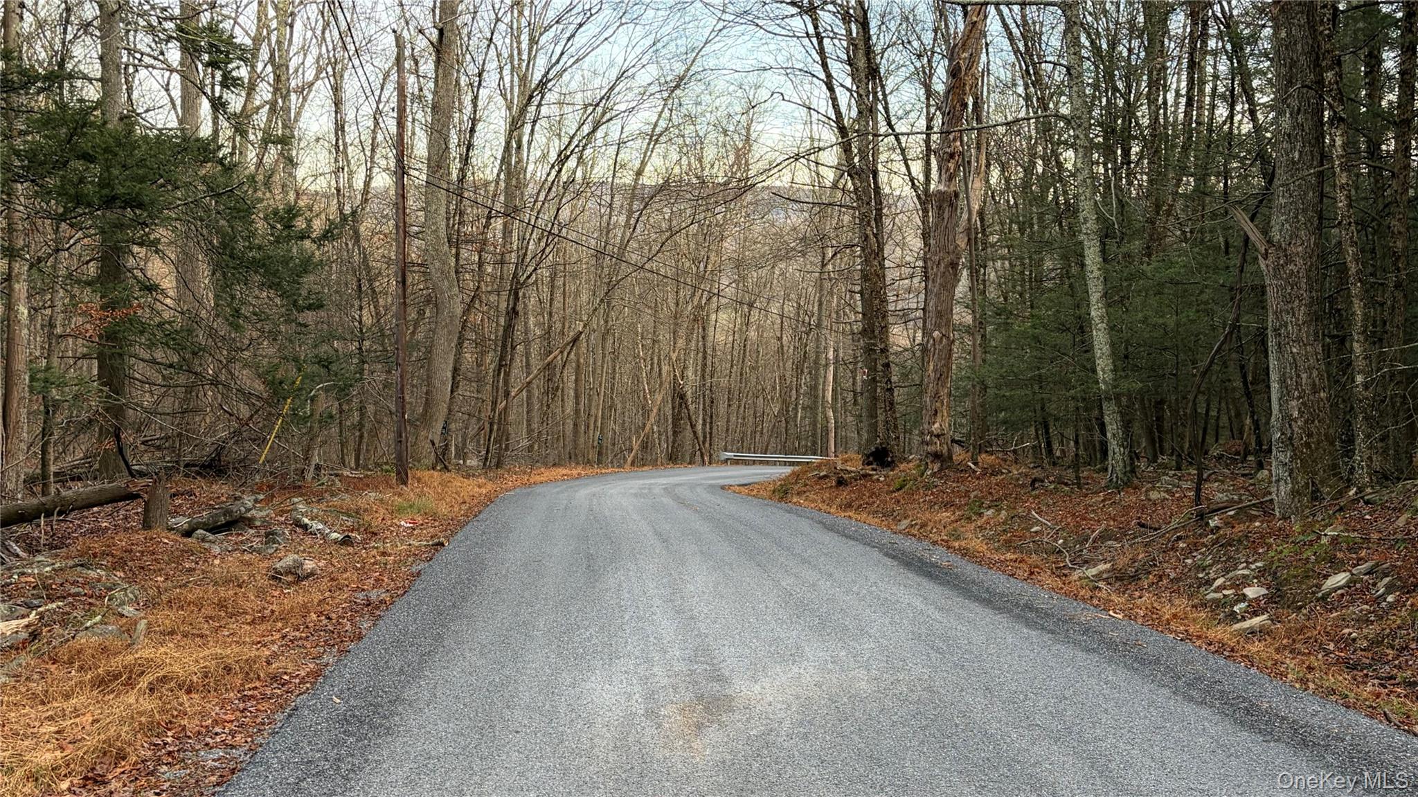 #5 photo, X Aldrich Road, Wurtsboro , NY 12790